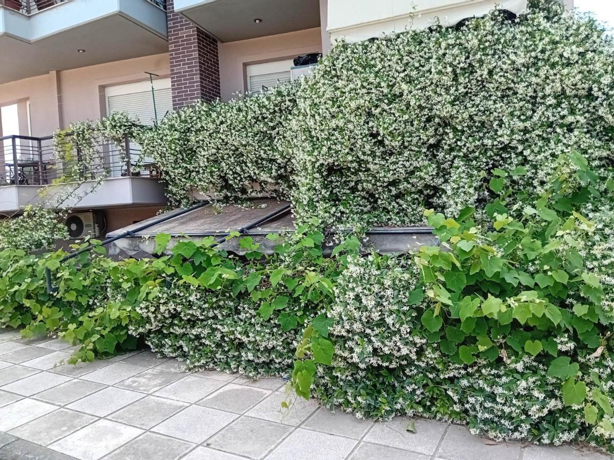 Stella'S Jasmine Tessalónica Exterior foto